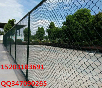 96219584351346216_副本_副本.jpg
